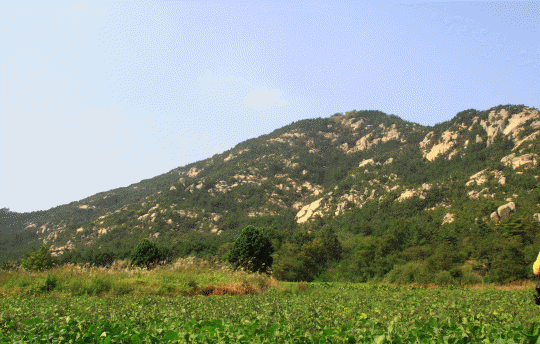 9225efc37158d287ff2419384186edfc_1635659516_14.gif
