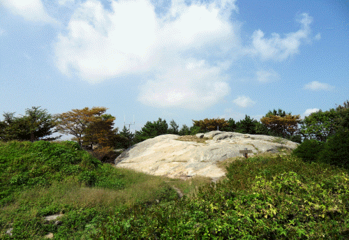 9225efc37158d287ff2419384186edfc_1635659516_68.gif