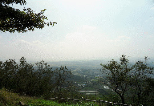 9225efc37158d287ff2419384186edfc_1635659517_2.gif