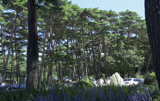 9225efc37158d287ff2419384186edfc_1635659644_26.gif