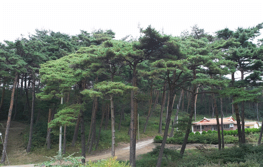 9225efc37158d287ff2419384186edfc_1635659644_36.gif