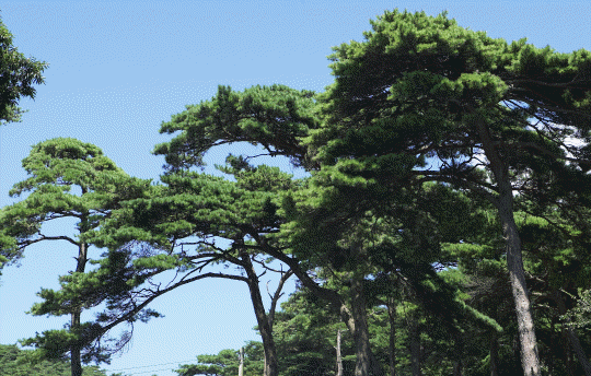 9225efc37158d287ff2419384186edfc_1635659644_66.gif